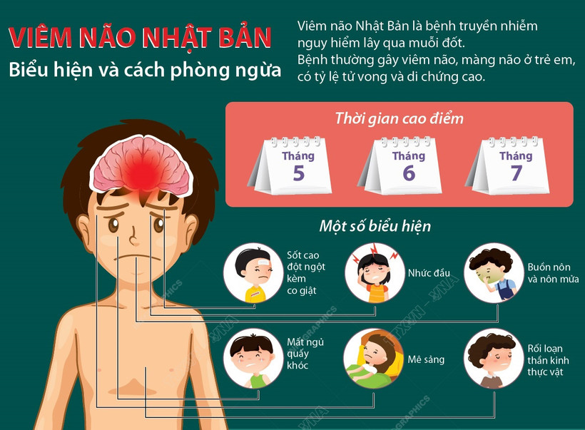 Đắk Lắk ghi nhận trường hợp mắc bệnh Viêm não Nhật Bản