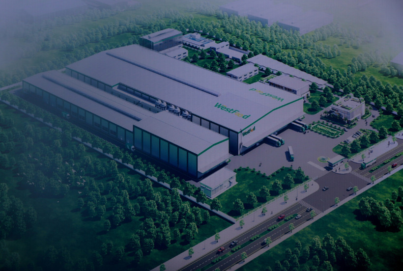 Họa hình Nhà máy Westfood Hậu Giang. Ảnh: Duy Khương - TTXVN