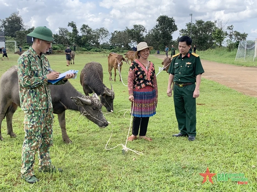 Đại tá Lại Văn Tuấn, Phó chủ nhiệm Chính trị Binh đoàn 16 tặng trâu cho người dân. Ảnh: qdnd.vn
