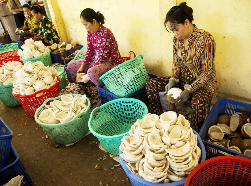 Hiệu quả ứng dụng công nghệ cao trong sản xuất nông nghiệp