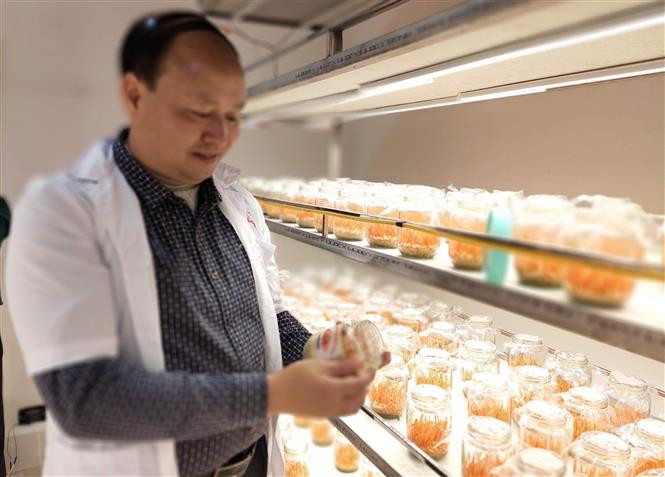 Tái cơ cấu các chương trình khoa học công nghệ cấp quốc gia định hướng đến năm 2030