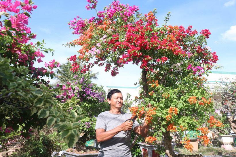 Bến Tre rộn ràng vương quốc hoa kiểng phục vụ Tết 