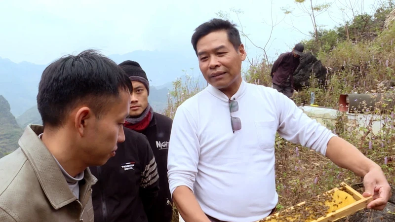 Nuôi ong bạc hà thời công nghệ số trên Cao nguyên đá Đồng Văn