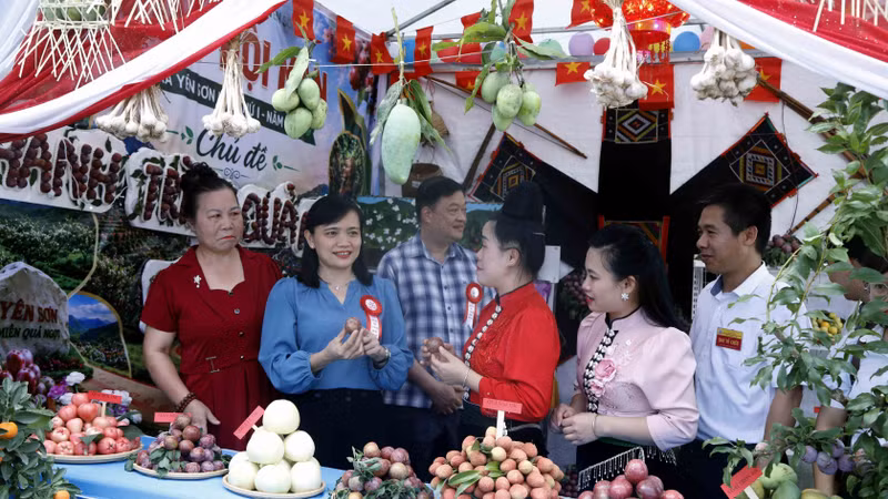 Khai mạc 'Ngày Hội mận gắn với Hội thi văn hóa, thể thao lần thứ nhất, năm 2026'