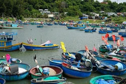 Mưu sinh bằng thuyền thúng - nét văn hóa bình dị của người dân vùng biển