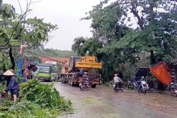 Tuyên Quang: Mưa dông làm 42 ngôi nhà bị hư hỏng