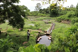 Gìn giữ và phát huy giá trị di sản giếng cổ ngàn năm Gio An