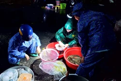 Khám phá 'chợ ma' Tha La