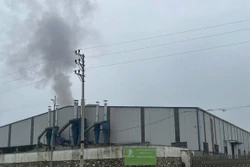 Bị phạt không có giấy phép môi trường, công ty gỗ ở Yên Bái vẫn 'ngang nhiên' hoạt động