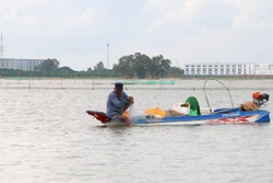 Mưu sinh trên đồng ngập lũ ở biên giới Tây Nam