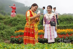 Hoàn thành xóa vùng lõm sóng ở Thái Nguyên