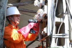 Điện lực Lạng Sơn dồn lực sớm cấp điện cho khách hàng sau bão lũ