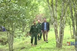 Nhân rộng mô hình bản sáng vùng biên