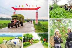 Ba chương trình mục tiêu quốc gia: Đòn bẩy phát triển bền vững nông thôn và miền núi