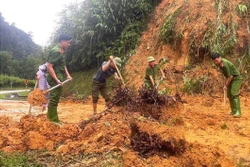 Những con đường hồi sinh sau bão lũ