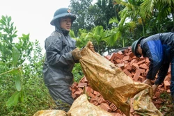 Chiến dịch Quang Trung: Đà Nẵng hoàn thành sửa chữa 100% nhà bị hư hỏng do thiên tai