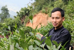 Chàng trai người Tày với thương hiệu Chè Chốt 468