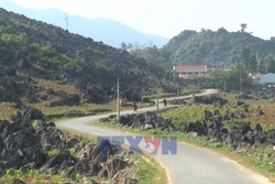 Người Mông vùng cao Điện Biên vươn lên từ nội lực