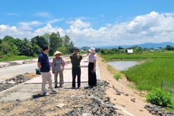 Gia Lai: Giải quyết khiếu nại của người dân về dự án đường nội thị phường Ayun Pa