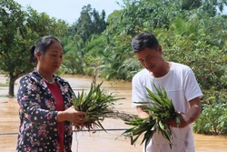 Lũ bất ngờ tràn về, nhiều khu vực ở phường Bình Phước ngập trong biển nước