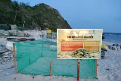 Bảo tồn, hướng tới phát triển du lịch sinh thái biển