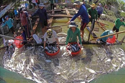 Đồng Tháp: Đặt trọng tâm vào khai thác hành lang kinh tế biển