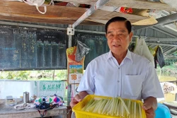 Cà Mau: Xây dựng thương hiệu cây đặc sản giúp nông dân tăng thu nhập