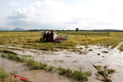 Lâm Đồng: Khẩn trương khắc phục hậu quả mưa lũ tại xã Nam Thành