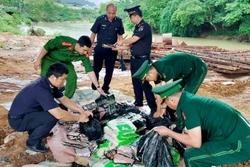 Thu giữ lô thực phẩm nhập lậu qua đường biên giới