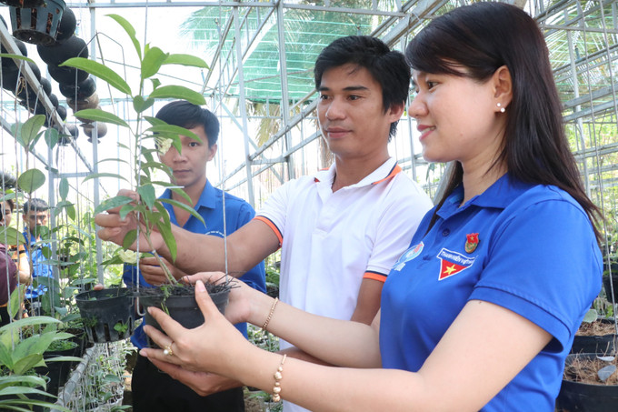 Anh Trần Minh Huân (giữa) giới thiệu hoa cẩm cù với các đoàn viên, thanh niên. Ảnh: Chương Đài – TTXVN Trần Minh Huân khởi nghiệp từ niềm đam mê vẻ đẹp các loài hoa ảnh 4