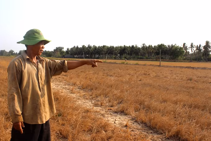 Vùng ven biển Tiền Giang ứng phó hạn mặn mùa khô ảnh 1