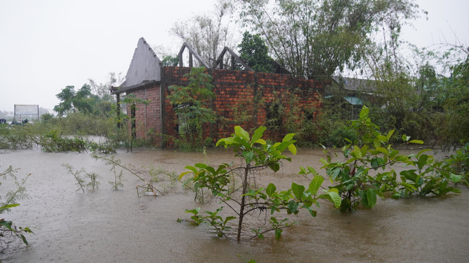 Nhiều xã vùng trũng của huyện Hải Lăng (Quảng Trị) ngập sâu trong nước. Ảnh: Thanh Thủy-TTXVN Mưa lũ gây nhiều thiệt hại tại khu vực miền Trung ảnh 3