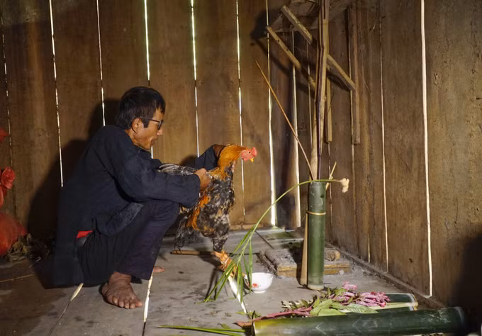 Đồng bào dân tộc Cống vui Tết hoa mào gà ảnh 3