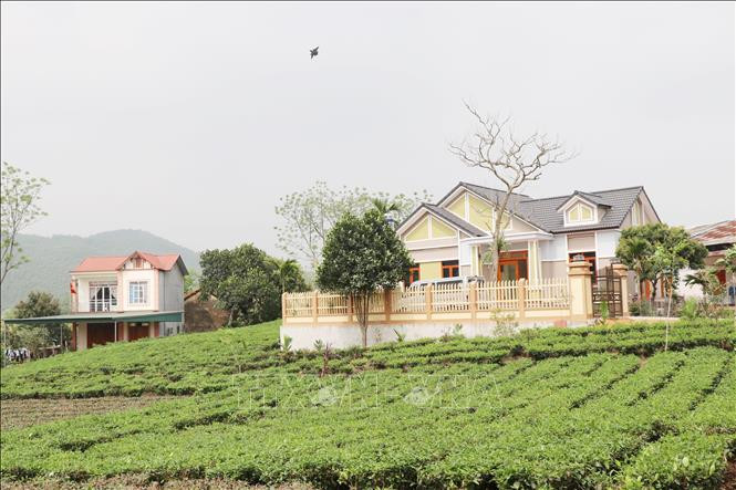 Nhiều hộ dân ở vùng chè Tân Cương đầu tư cơ sở vật chất khang trang để đón khách du lịch trải nghiệm. Ảnh: Hoàng Nguyên-TTXVN Thái Nguyên phát triển sản phẩm du lịch đặc trưng ảnh 1