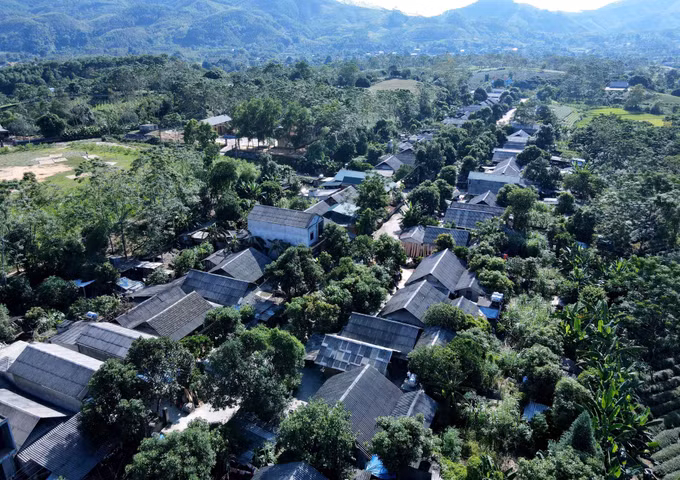 Ấm no bản tái định cư người Mông ở Tuyên Quang ảnh 1