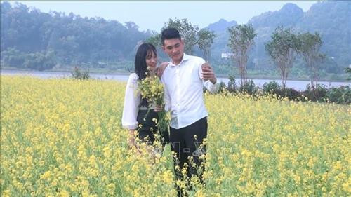 Các bạn trẻ chụp ảnh lưu niệm tại cánh đồng hoa cải Hoằng Lý. Ảnh: Khiếu Tư - TTXVN Cánh đồng hoa cải ven sông ở xã Hoằng Lý thu hút du khách ảnh 1