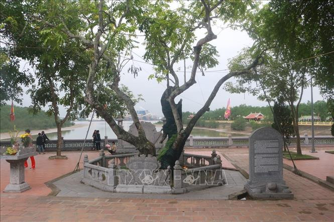 Bến đò xưa, cây quếch nằm trong Khu di tích Quốc gia đặc biệt Bạch Đằng. Ảnh: Đức Hiếu - TTXVN Lễ hội truyền thống Bạch Đằng 2021, khơi nguồn truyền thống giáo dục thế hệ trẻ những giá trị lịch sử ảnh 6