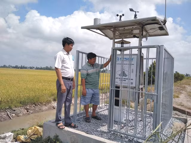 Đồng Tháp ứng dụng hiệu quả công nghệ trong dự tính, dự báo sâu bệnh ảnh 1