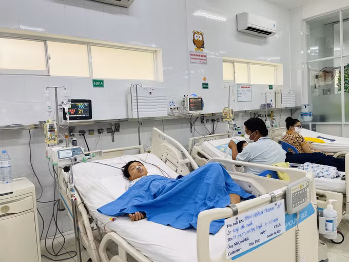 Ăn nấm mọc trên xác nhộng ve sầu, hai mẹ con nhập viện ở Đồng Nai ảnh 2