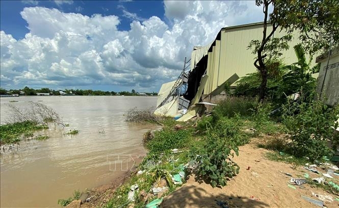 Điểm sạt lở bờ sông Hậu, đoạn đi qua thị trấn Vĩnh Thạnh Trung, huyện Châu Phú, tỉnh An Giang. Ảnh: Công Mạo-TTXVN An Giang: Sạt lở gia tăng về quy mô và tần suất ảnh 1