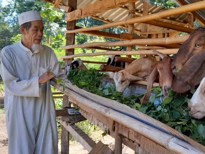 Đảm bảo an ninh trật tự vùng dân tộc thiểu số ở Bình Phước (Bài 1) ảnh 2