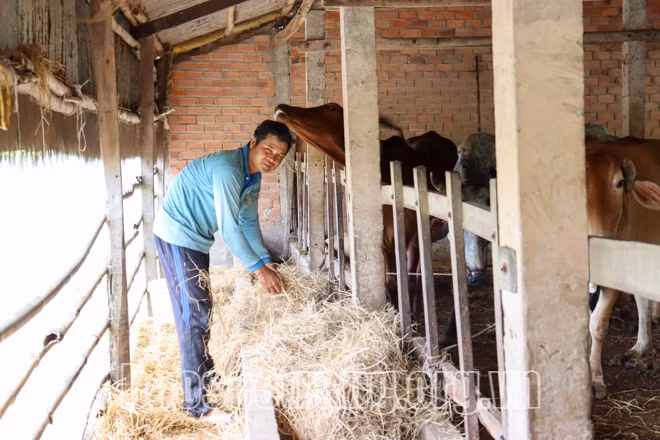 Sóc Trăng: Đồng bào Khmer được chăm lo tốt cả đời sống vật chất và tinh thần ảnh 1