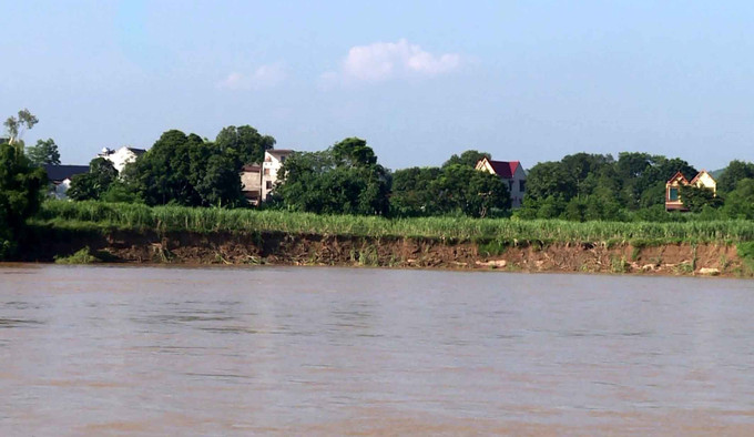 Nhiều diện tích đất bãi bồi ven bờ sông Mã đoạn qua xã Cẩm Vân, huyện Cẩm Thủy, tỉnh Thanh Hóa bị sạt lở. Ảnh: Nguyễn Nam-TTXVN Thanh Hóa cần ngăn chặn tình trạng sạt lở đất ven sông Mã ảnh 5