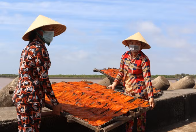 “Thủ phủ” nghề làm hải sản khô Gành Hào vào mùa Tết ảnh 2