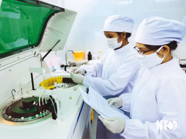 Ninh Thuận tạo mọi điều kiện để phụ nữ phát huy năng lực ảnh 1