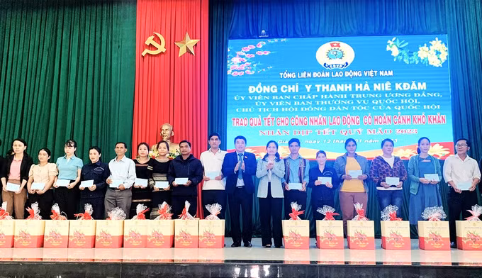 Tặng quà Tết cho 100 công nhân lao động có hoàn cảnh khó khăn tại Gia Lai ảnh 1