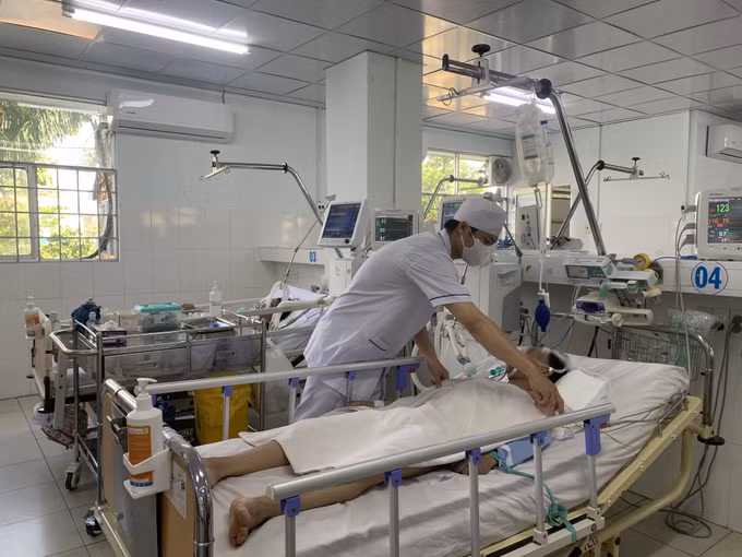 Cảnh báo ngộ độc do ăn nhầm con so biển ảnh 1