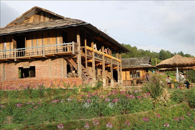 Loại hình du lịch sinh thái, trải nghiệm cuộc sống Homestay tại bản Dề Thàng, xã Chế Cu Nha, huyện Mù Cang Chải luôn hấp dẫn du khách. Ảnh: Tiến Khánh – TTXVN Khai thác tiềm năng, phát triển du lịch sinh thái ở Yên Bái ảnh 2