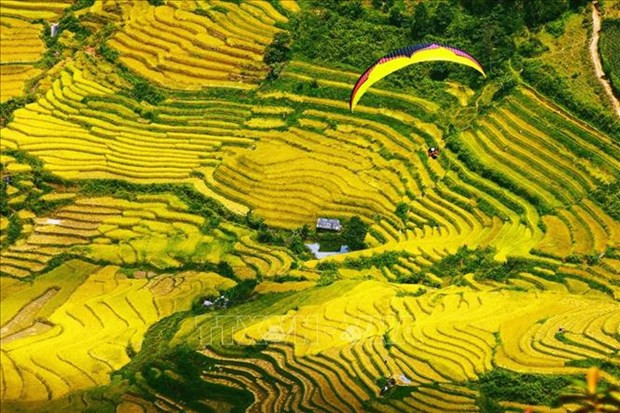 Với độ cao từ 1.200m đến 1.500m so với mực nước biểu, đèo Khau Phạ là điểm đến lý tưởng cho những người đam mê môn thể thao dù lượn. Ảnh: Lâm Khánh – TTXVN Khai thác tiềm năng, phát triển du lịch sinh thái ở Yên Bái ảnh 1