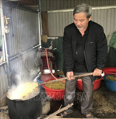 Gừng tươi được luộc bằng chanh sau đó vớt ra rửa sạch rồi làm mứt. Ảnh: Thanh Thủy-TTXVN Làng nghề mứt gừng Mỹ Chánh “nhộn nhịp” vào vụ đón Tết Tân Sửu ảnh 3